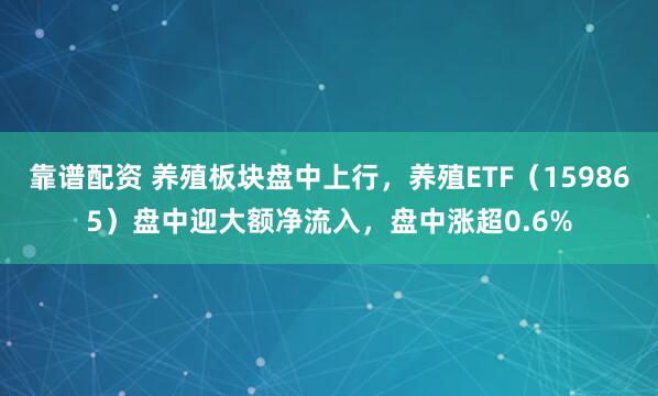 靠谱配资 养殖板块盘中上行，养殖ETF（159865）盘中迎大额净流入，盘中涨超0.6%